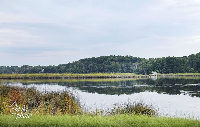 Colington Island / Kitty Hawk Bay / Kill Devil Hills, NC