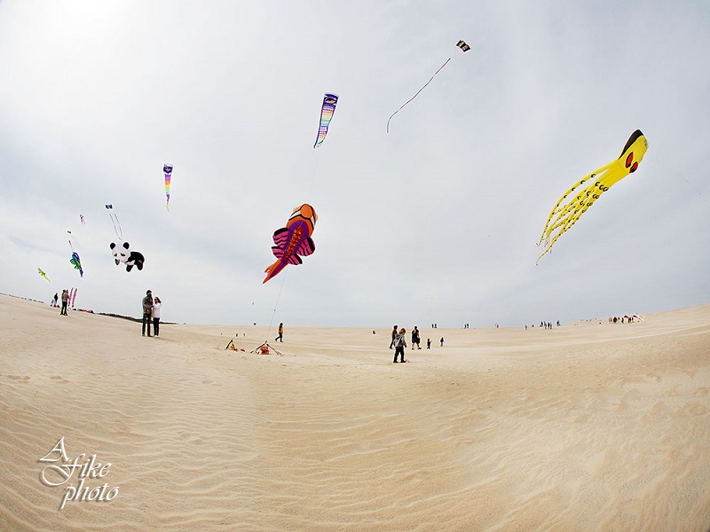 Kite Flying on Jockey's Ridge in Nags Head, NC